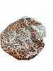 Satin Lined Leopard Shower Cap (TM)